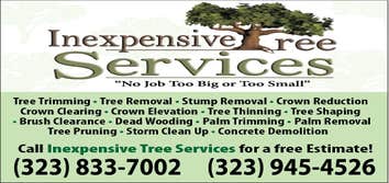 Inexpensve Tree Services Inc Project 1 These are images of work we done these are the type of services we offer:
tree trimming
tree removal
stump rem