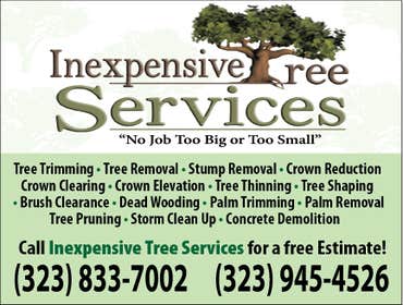 Inexpensve Tree Services Inc Project 1 These are images of work we done these are the type of services we offer:
tree trimming
tree removal
stump rem