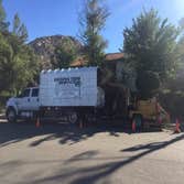 Estates Tree Service