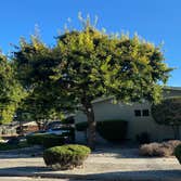 Photos by Jose Marin Tree Service #3