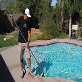 Photos by Nexus Pool Care #1