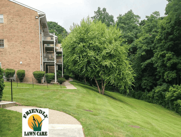 Photos by Friendly Lawn Care #1