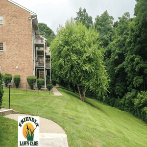 Photos by Friendly Lawn Care #1