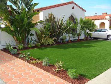 Turf
