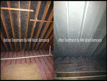 Photo(s) from Nw Mold Removal