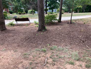 After Landscape 1