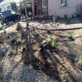 Photos by Enkijab Landscape,LLC #1