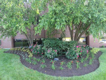 Commercial Project-Atrium King of Prussia
