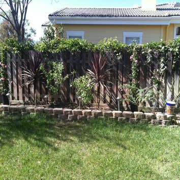 Photo(s) from Szm Environmental Landscaping
