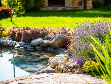 Photos by Georgia Outdoor Services #1