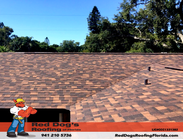 Photos by Red dog's Roofing of Florida #1
