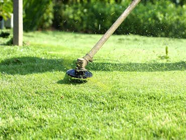 Photos by Cut Right Lawn Care, LLC #1