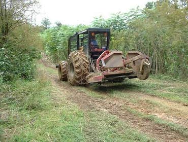 Tree & ROW Equipment