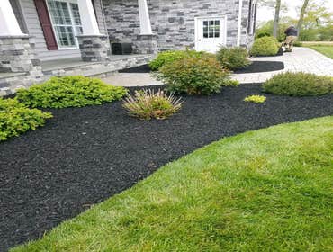 Photos by Amigos Lawn Care & Tree Service #1