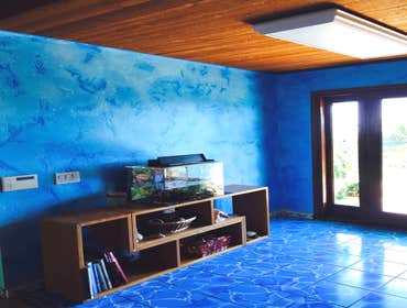 cardiff by the sea Exterior and Interior Painting