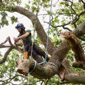 Photos by Full Tree Service Panama City #1