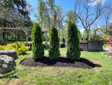 Photos by vs Landscaping LLC #1