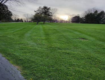 Photos by Alberto Alavez Professional Lawn Services LLC #9