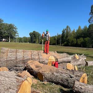 Jr & Dubon Tree Service