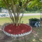 Photos by Matia’s Landscape and Designs #1
