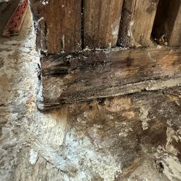 Water Mitigation This project was a roof leak the photos show initial inspection to post demo.