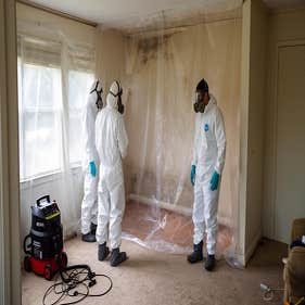 Miami Mold Assessment & Remediation Authority