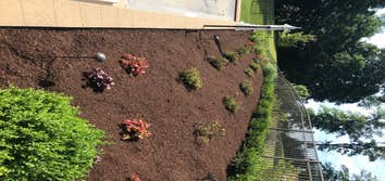 Photos by M. Jayson Lawn Care, LLC #1