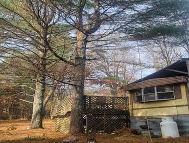 Photos by Hernandez Tree Services #14