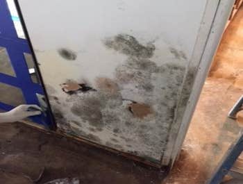 Photos by Qwikresponse Restoration & Construction #1