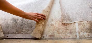 Water Damage Restore Minnetonka