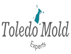 Photos by Mold Removal Toledo Oh Solutions #1