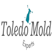 Photos by Mold Removal Toledo Oh Solutions #1