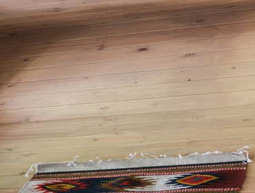 Pine Interior