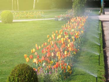 Photos by Spokane Landscape Design Experts #1