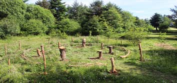 Photos from Earth Ecology LLC