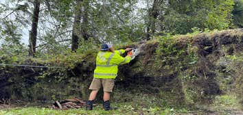 Bucket Man Tree Services