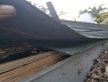 Photos by Pro Roofing Restoration LLC #1