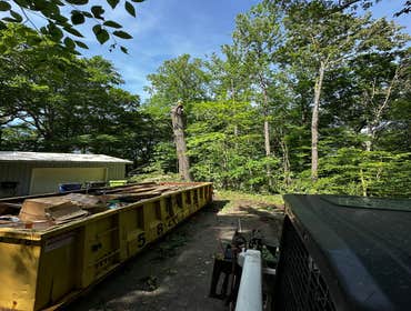 Flores Tree Services General & Landscaping