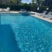 Pool Sharks Pool Service