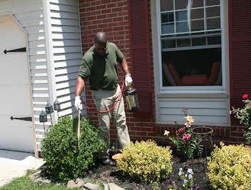 Photos by Pest Control Pros #1