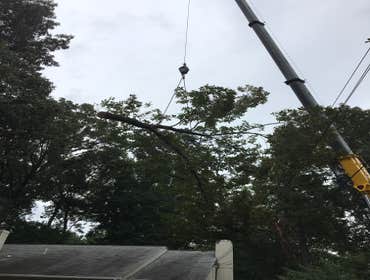 Photo(s) from Bonilla Tree Service Inc