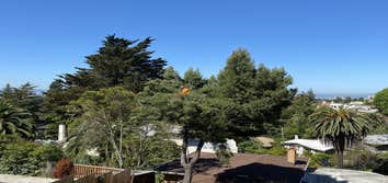 Photos by Moreno Tree Service #1