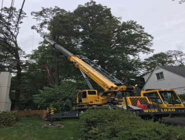 Photo(s) from Bonilla Tree Service Inc