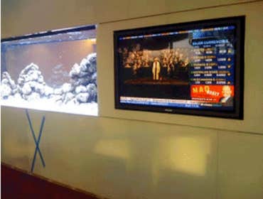47 inch TV flush mounted on custom made aquarium