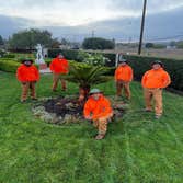 Tree Services ? Professional tree care services for residential and commercial properties. We specialize in tree removal, tree trimming, pruning, plant