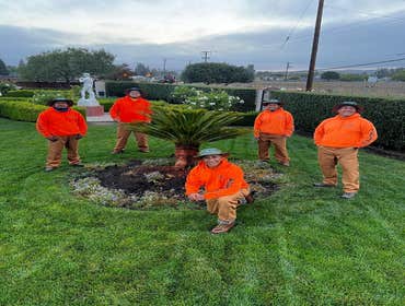 Tree Services ? Professional tree care services for residential and commercial properties. We specialize in tree removal, tree trimming, pruning, plant