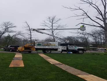 Photos by Amigos Lawn Care & Tree Service #1