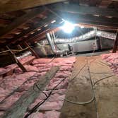 Rodent Treatment & Insulation Services
