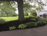 Photos by Castro Landscaping Inc #1