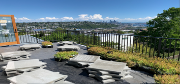 Zen Construction LLC